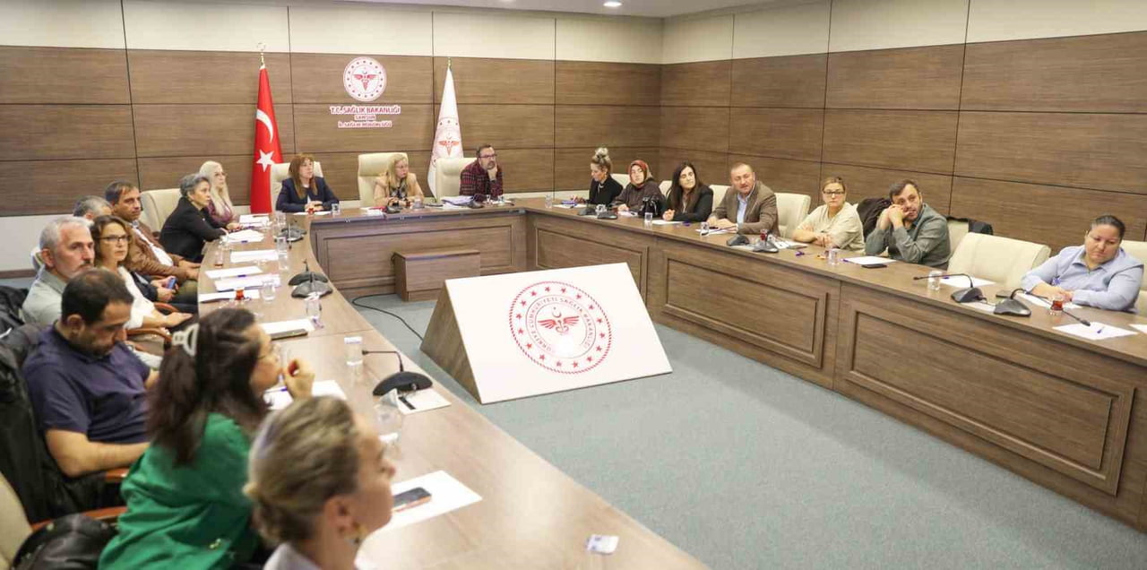 ANNE ÖLÜMLERİNİN ÖNLENMESİNE YÖNELİK TEDBİRLERİN ELE ALINDIĞI ANNE ÖLÜMLERİ İL DEĞERLENDİRME...