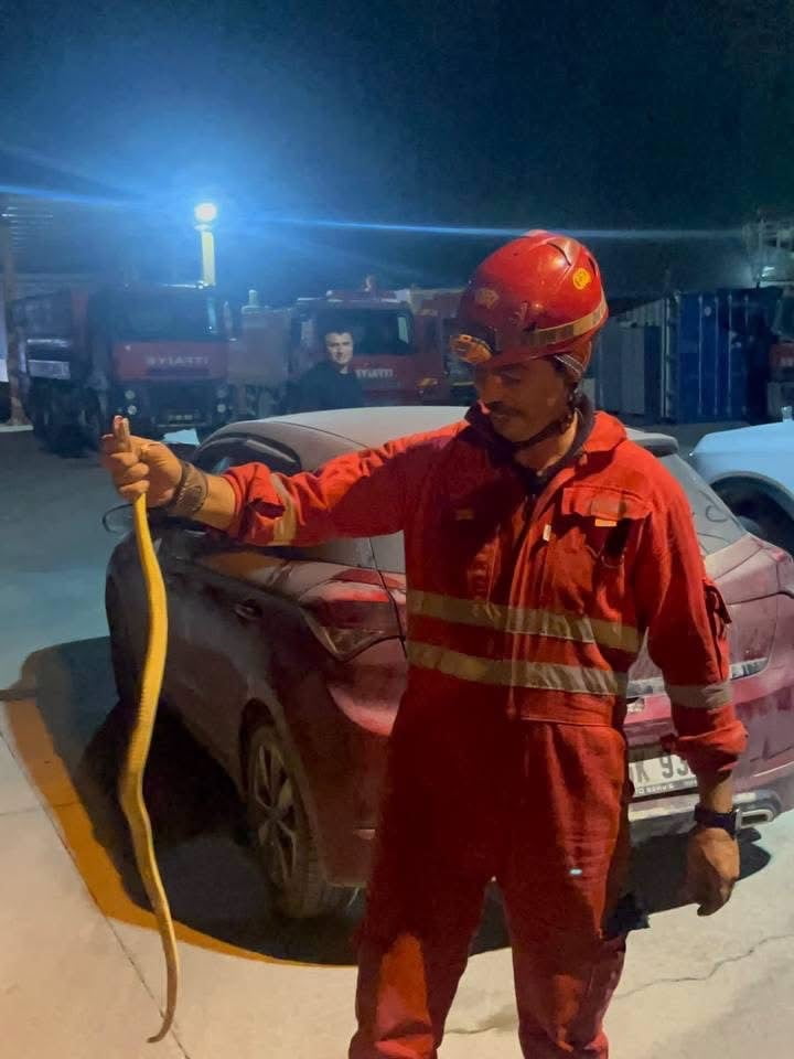 ANTAKYA’DA ARACIN İÇERİSİNDE GÖRÜLEN YILAN, İTFAİYE EKİPLERİNCE YAKALANARAK DOĞAL YAŞAM ALANINA...