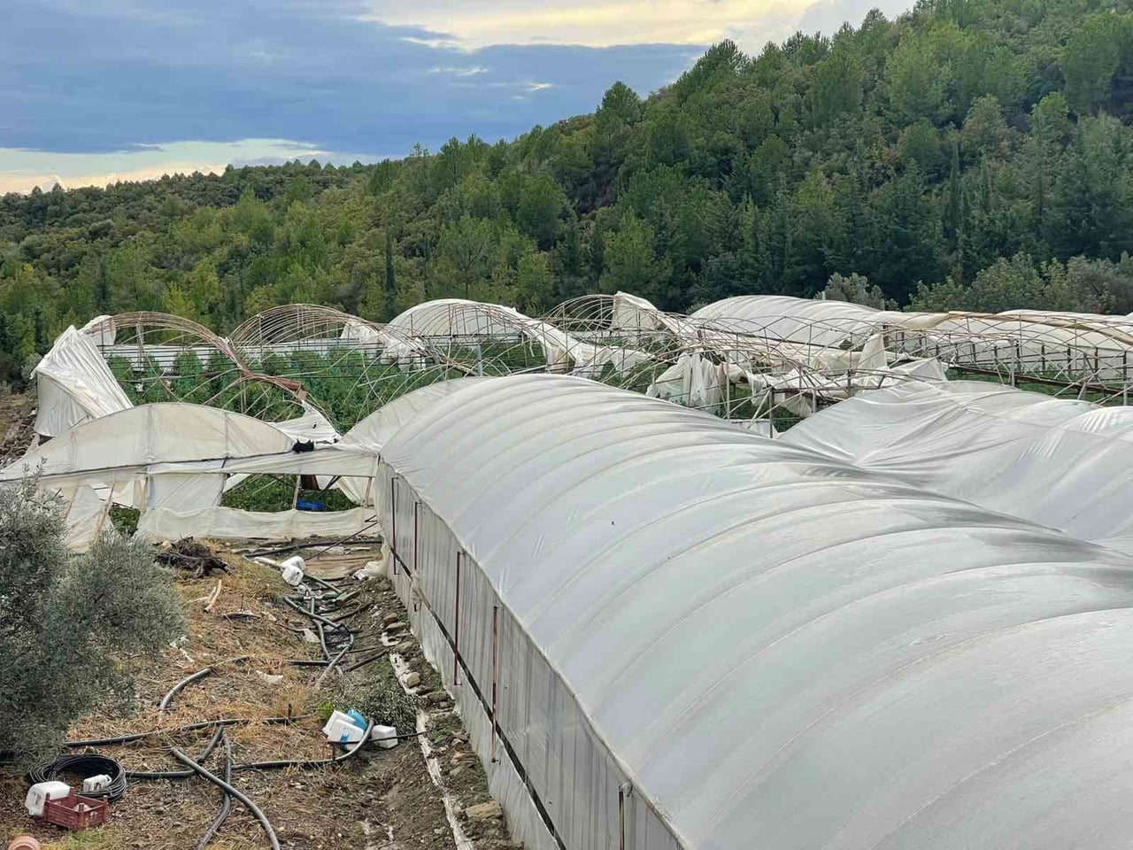 ANTALYA'NIN MANAVGAT İLÇESİNDE MEYDANA GELEN HORTUM, 6 ÜRETİCİYE AİT YAKLAŞIK 15 DÖNÜMLÜK SEBZE...