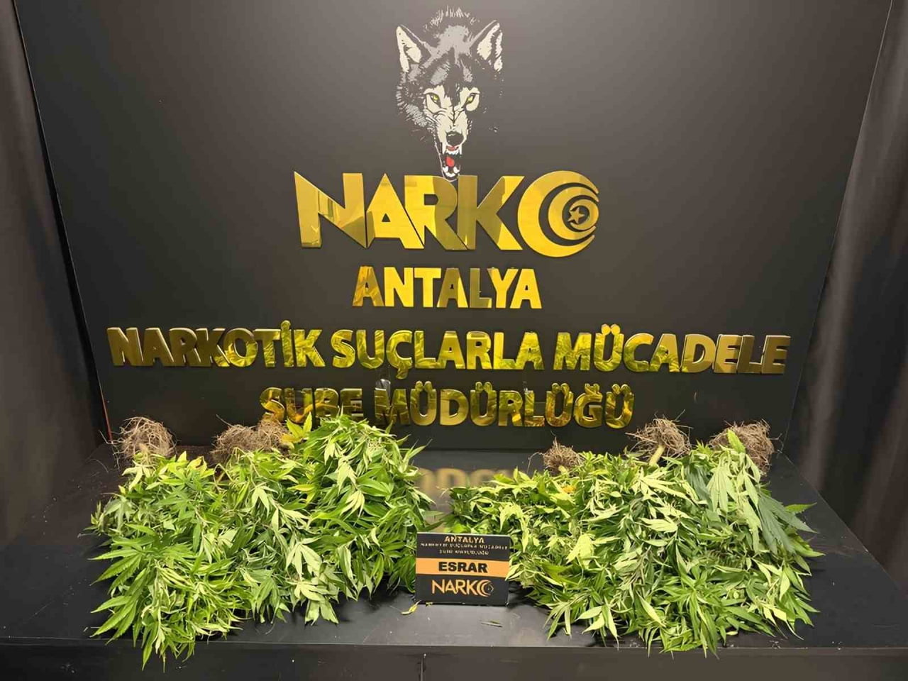 ANTALYA’DA SON 1 HAFTADA DÜZENLENEN 32 NARKOTİK OPERASYONUNDA, 28 BİN 519 SENTETİK ECZA İLE 291...