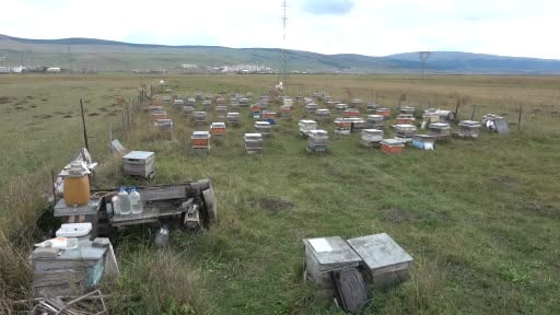Ardahan'da bal hasadı bitti, 2027 sezonu için kış hazırlıkları başladı