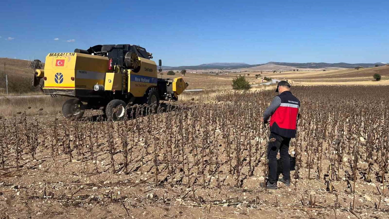 ASLANAPA’DA YÜZDE 75 HİBELİ AYÇİÇEĞİNDE HASAT KONTROLLERİ