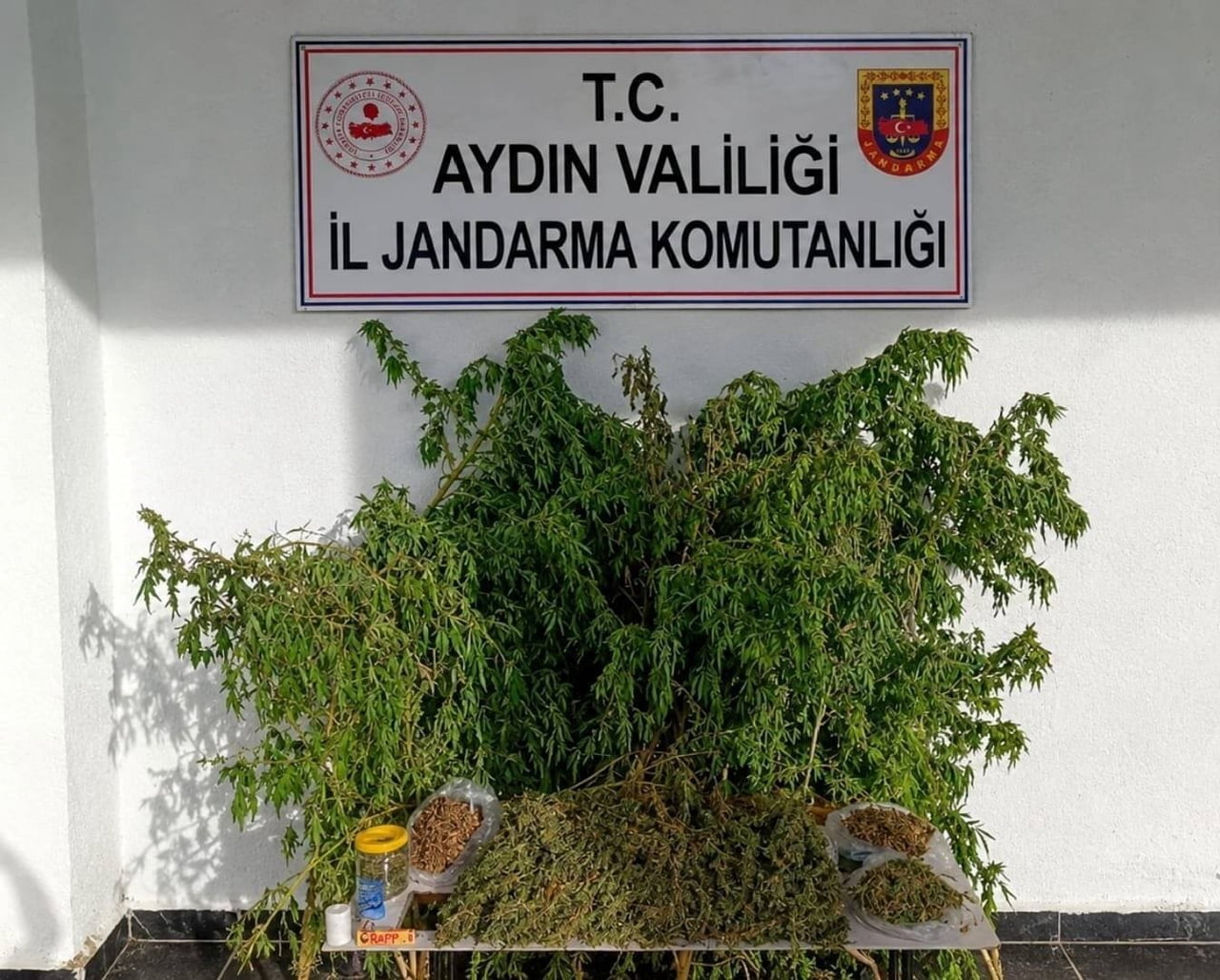 AYDIN'IN İNCİRLİOVA İLÇESİNDE BİR EVE YAPILAN UYUŞTURUCU BASKININDA 3 KİLO KUBAR ESRAR VE 47 KÖK...