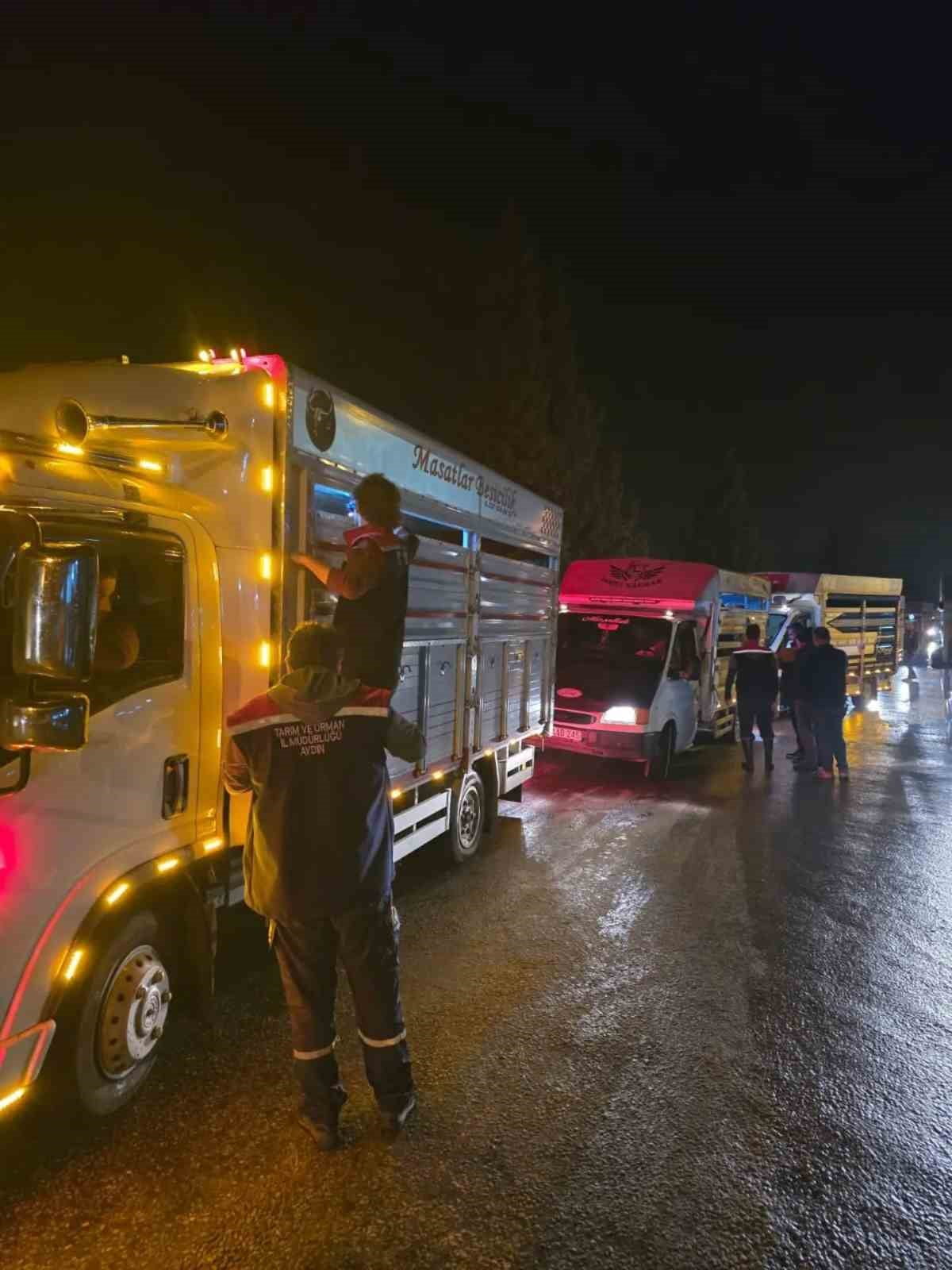 AYDIN’IN ÇİNE İLÇESİNDE HAYVAN PAZARI, VETERİNER HEKİMLERİN SAĞLIK, KÜPE VE BELGE KONTROLLERİ...