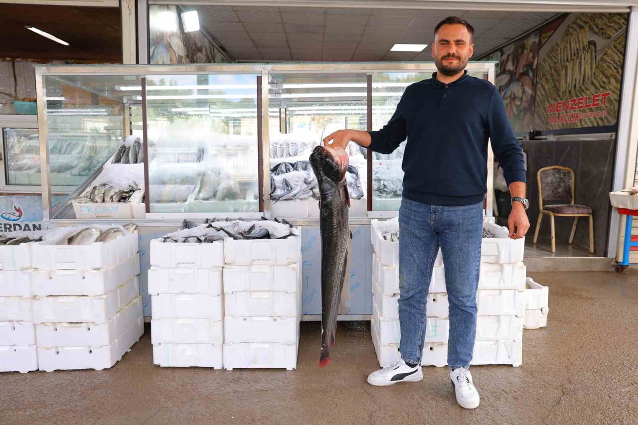 BALIKÇI HAKAN GÜRBAK