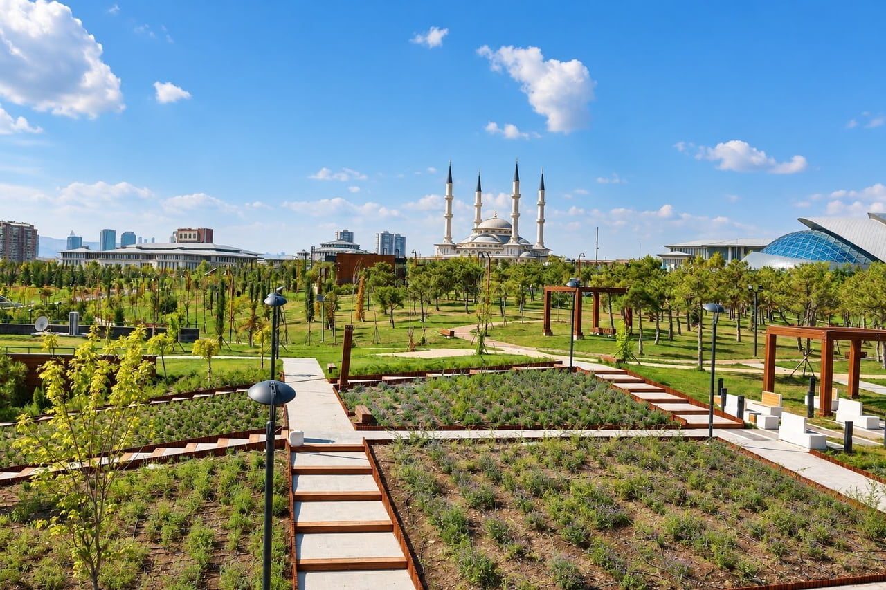 BAŞKENT'TE 645 BİN METREKARELİK ALANA YAYILAN BEŞTEPE MİLLET ORMANI, YÜZLERCE BİTKİ TÜRÜ, TEMATİK...