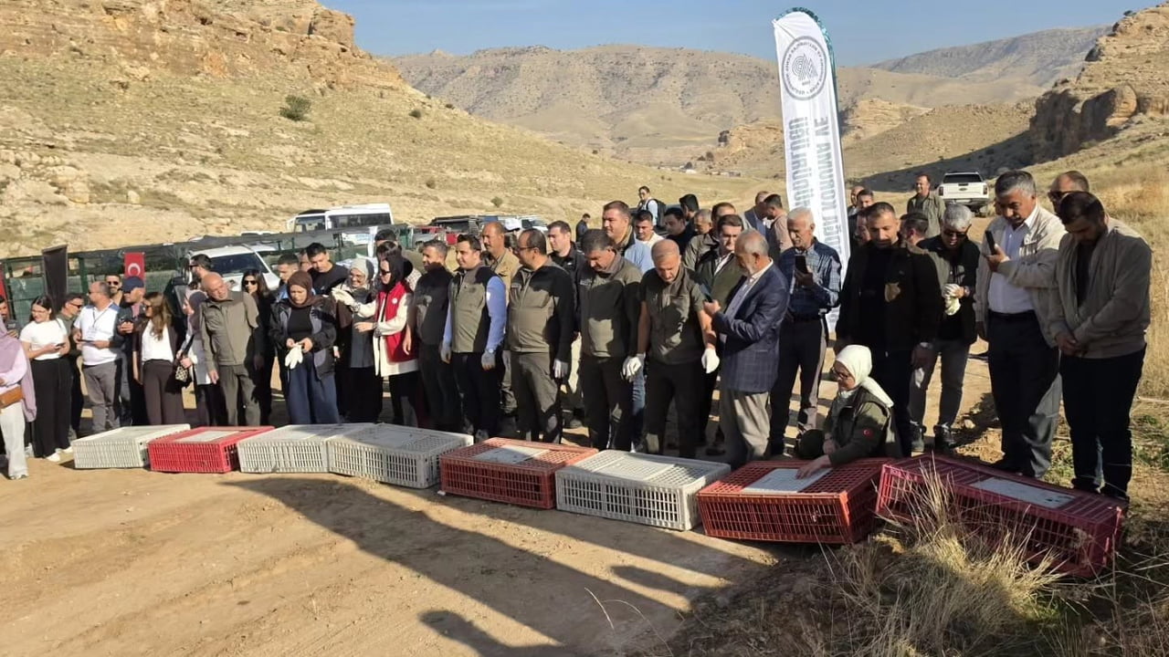 BATMAN'DA YABAN HAYATININ DESTEKLENMESİ, BİYOLOJİK ÇEŞİTLİLİĞİN KORUNMASI VE DOĞAL DENGENİN...