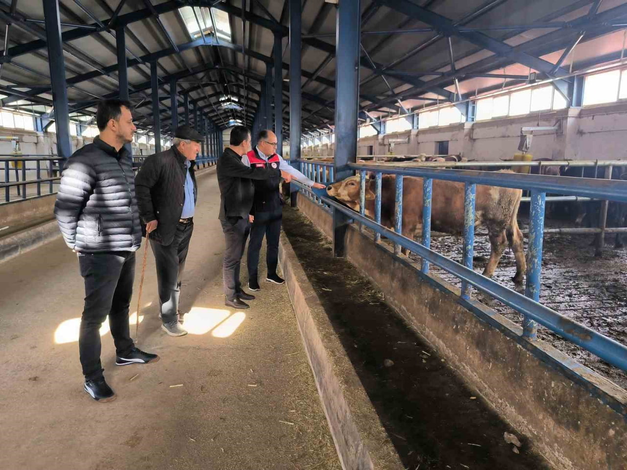 BAYBURT’TA YÜZDE 50 HİBE DESTEĞİYLE KURULAN HAYVANCILIK İŞLETMESİ İNCELENDİ