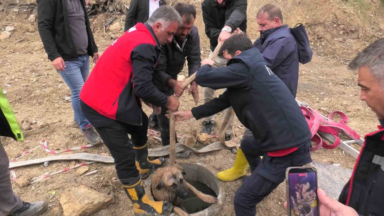 BESNİ İLÇESİNDE YAPIMI DEVAM EDEN KENT MEYDANI ALANINDAKİ KANALİZASYON ÇUKURUNA DÜŞEN KÖPEK...
