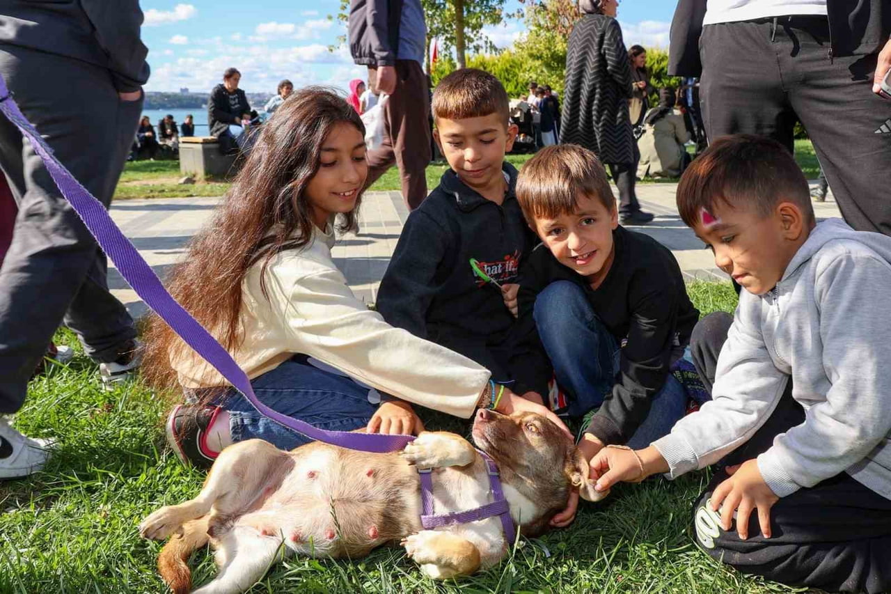 BEYKOZ BELEDİYESİ TARAFINDAN 4 EKİM DÜNYA HAYVANLARI KORUMA GÜNÜ KAPSAMINDA "HER CANA DEĞER"...