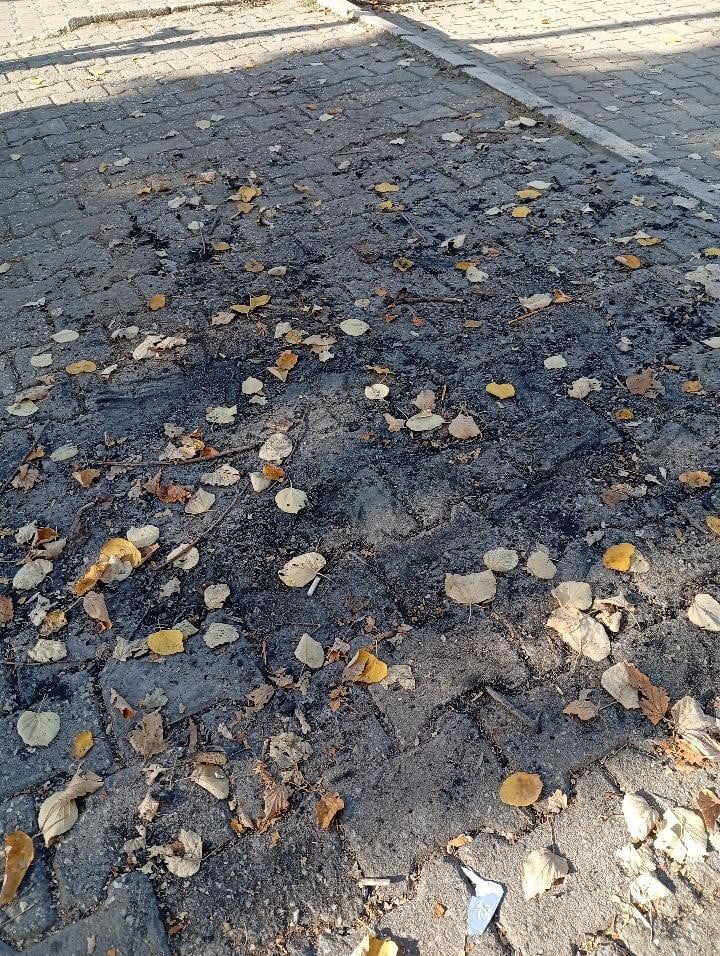 BİLECİK MERKEZDE BULUNAN BİR PARKIN ORTASINDA ATEŞ YAKTILAR.