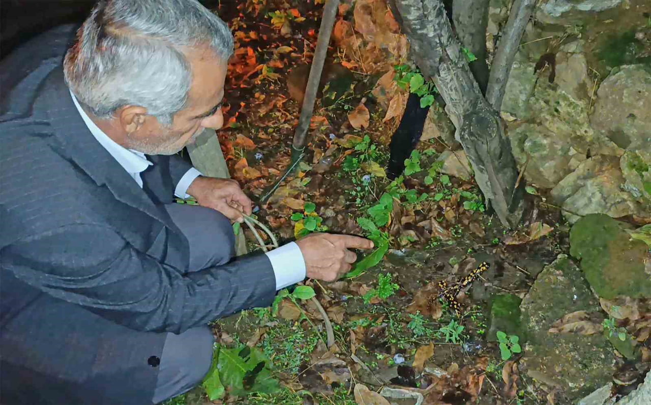 BİTLİS İL MERKEZİNDE YAŞAYAN RAHMİ BULUT, EVİNİN BAHÇESİNDE AKŞAM SAATLERİNDE PEŞ PEŞE ÜÇ BENEKLİ...