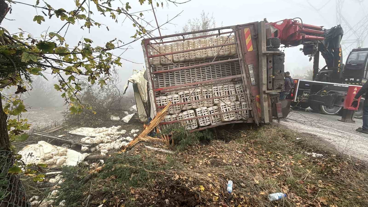 BOLU-SEBEN KARA YOLUNDA VİRAJI ALAMAYAN CANLI TAVUK YÜKLÜ KAMYON DEVRİLDİ. KAZADA 4 KİŞİ...