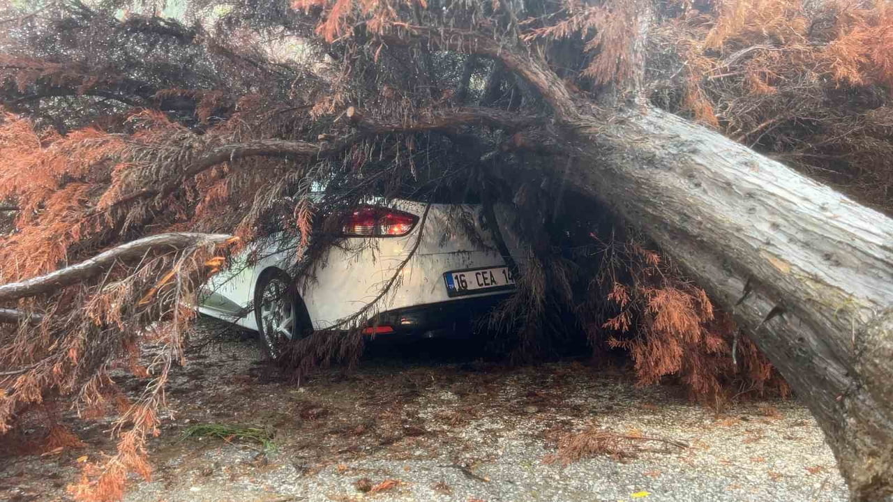 BURSA'DA ŞİDDETLİ YAĞIŞIN ETKİSİYLE DEVRİLEN AĞAÇ, PARK HALİNDEKİ OTOMOBİLİN ÜZERİNE DÜŞTÜ....
