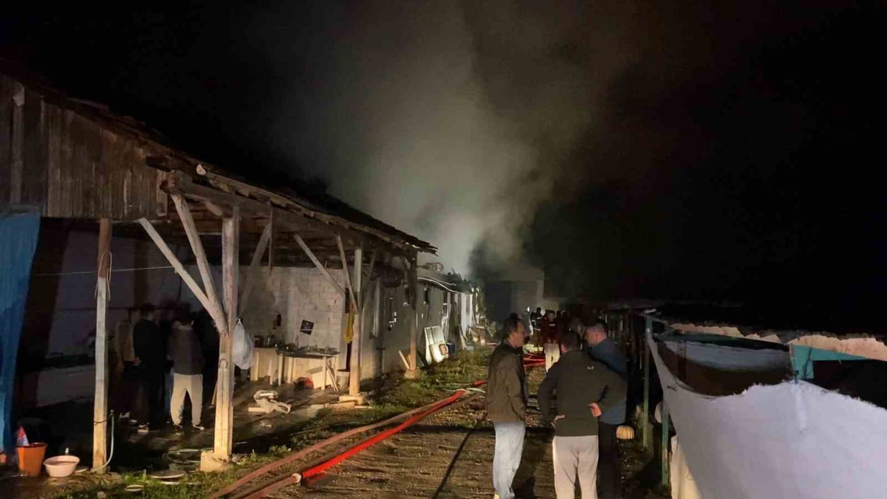 BURSA’DA KORKUTAN ÇİFTLİK YANGINI… ALEV ALEV YANDI