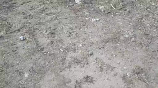 Cezaevi nakil aracı devrildi: 7 yaralı