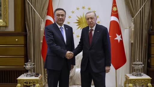 Cumhurbaşkanı Erdoğan, Türk Devletleri Teşkilatı Genel Sekreteri Kubanıçbek Ömüraliyev'i kabul...