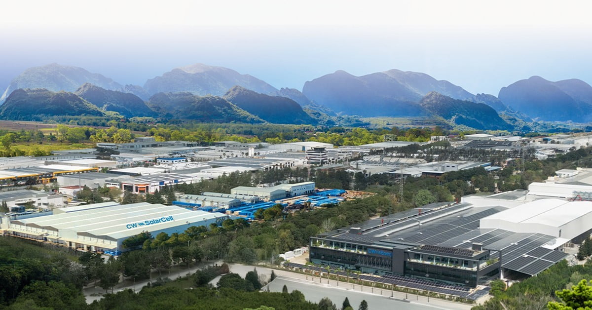CW ENERJİ, SATIŞ GELİRLERİNDEKİ ARTIŞIN DA KATKISIYLA FORTUNE 500 TÜRKİYE 2025 LİSTESİ'NDE BİR...
