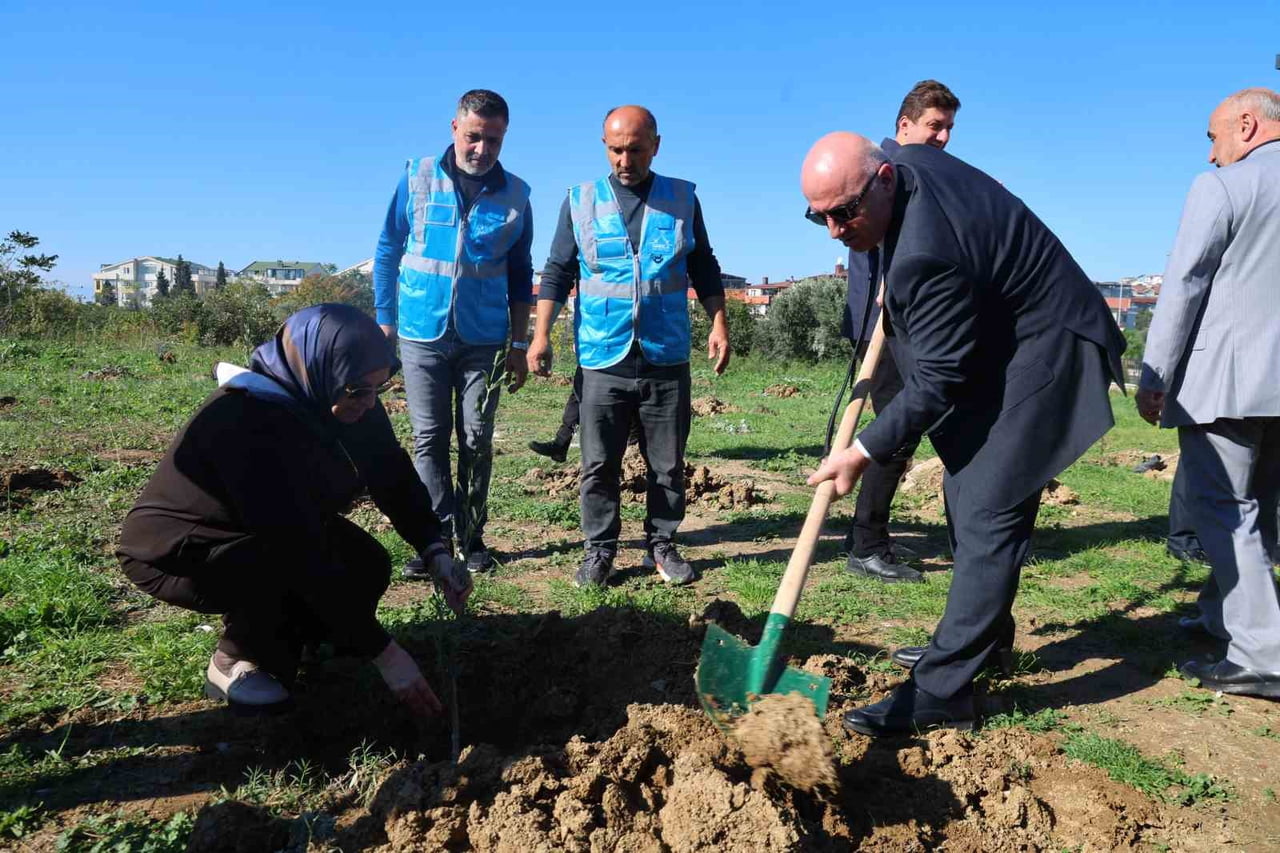 DARICA BELEDİYESİ TARAFINDAN ZEYTİN FESTİVALİ KAPSAMINDA DARICA MİLLET BAHÇESİ'NDE 100 ZEYTİN...