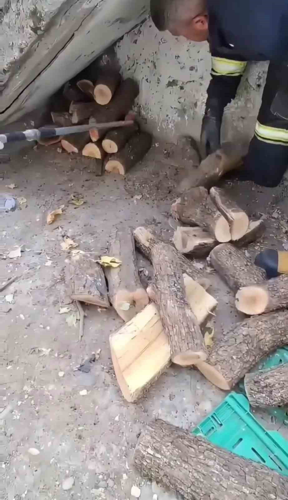DİYARBAKIR’DA BİR EVİN ODUNLUĞUNA GİREN DEV YILAN, EV SAKİNLERİNE KORKU DOLU ANLAR YAŞATTI....