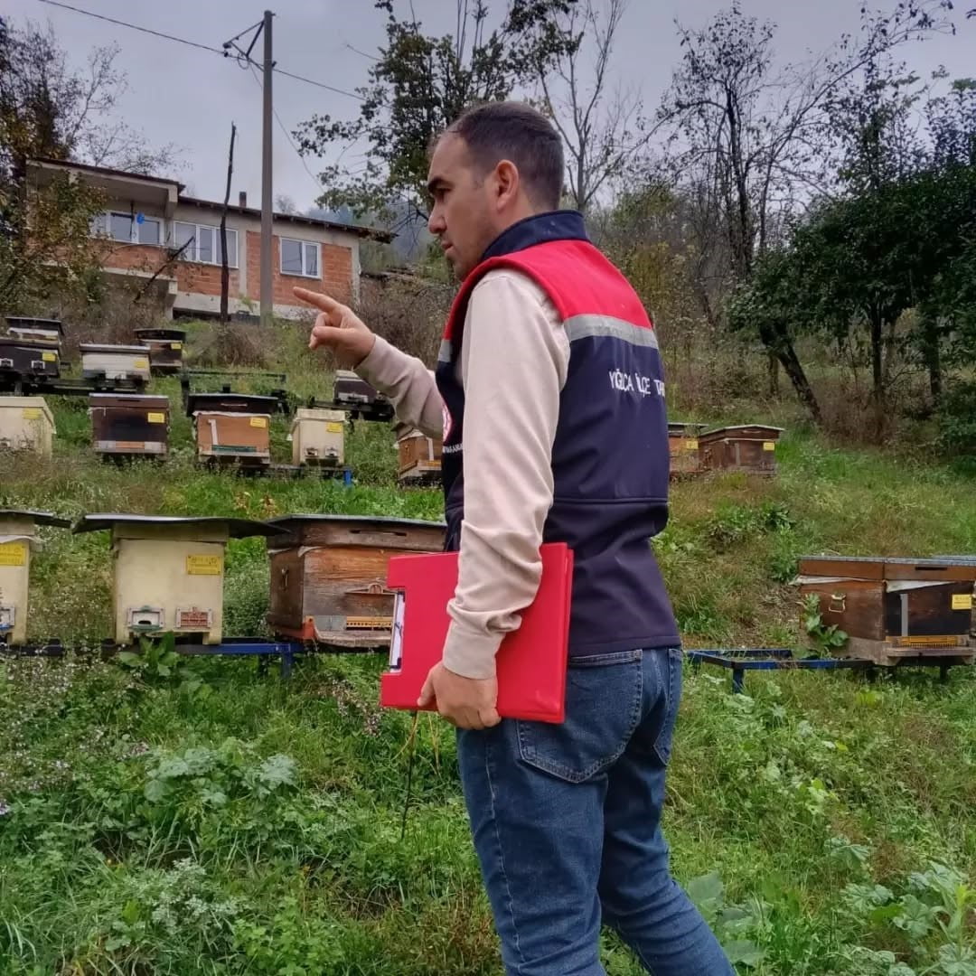 DÜZCE’NİN YIĞILCA İLÇESİNDE VETERİNER HEKİMLER TARAFINDAN ARILI KOVAN SAYIMI GERÇEKLEŞTİRİLDİ....