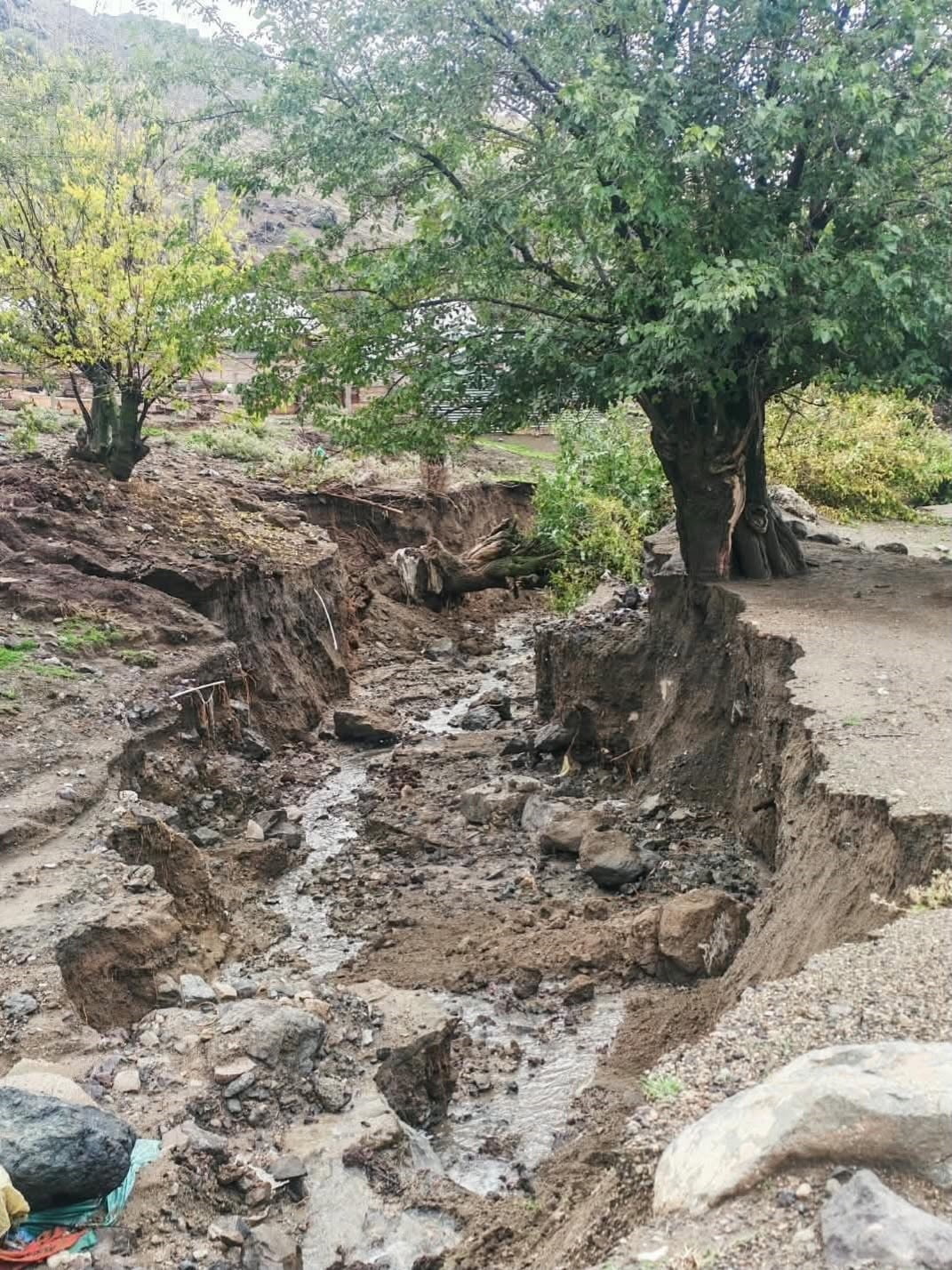 ELAZIĞ’DA AŞIRI YAĞIŞ SONRASI AĞAÇLAR DEVRİLDİ, DERİN ÇUKURLAR OLUŞTU