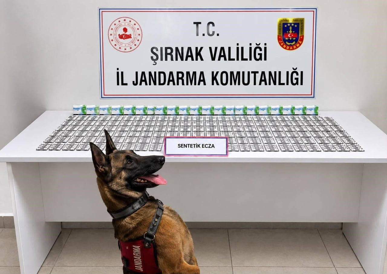 ELE GEÇİRİLENLER