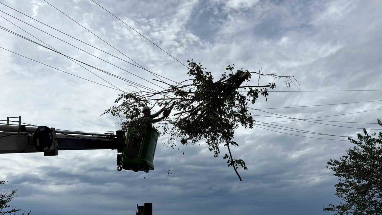 ELEKTRİK ARIZA EKİPLERİ, HATLARDAKİ HASARI GİDERMEK VE TEHLİKE OLUŞTURAN DALLARI TEMİZLEMEK İÇİN...