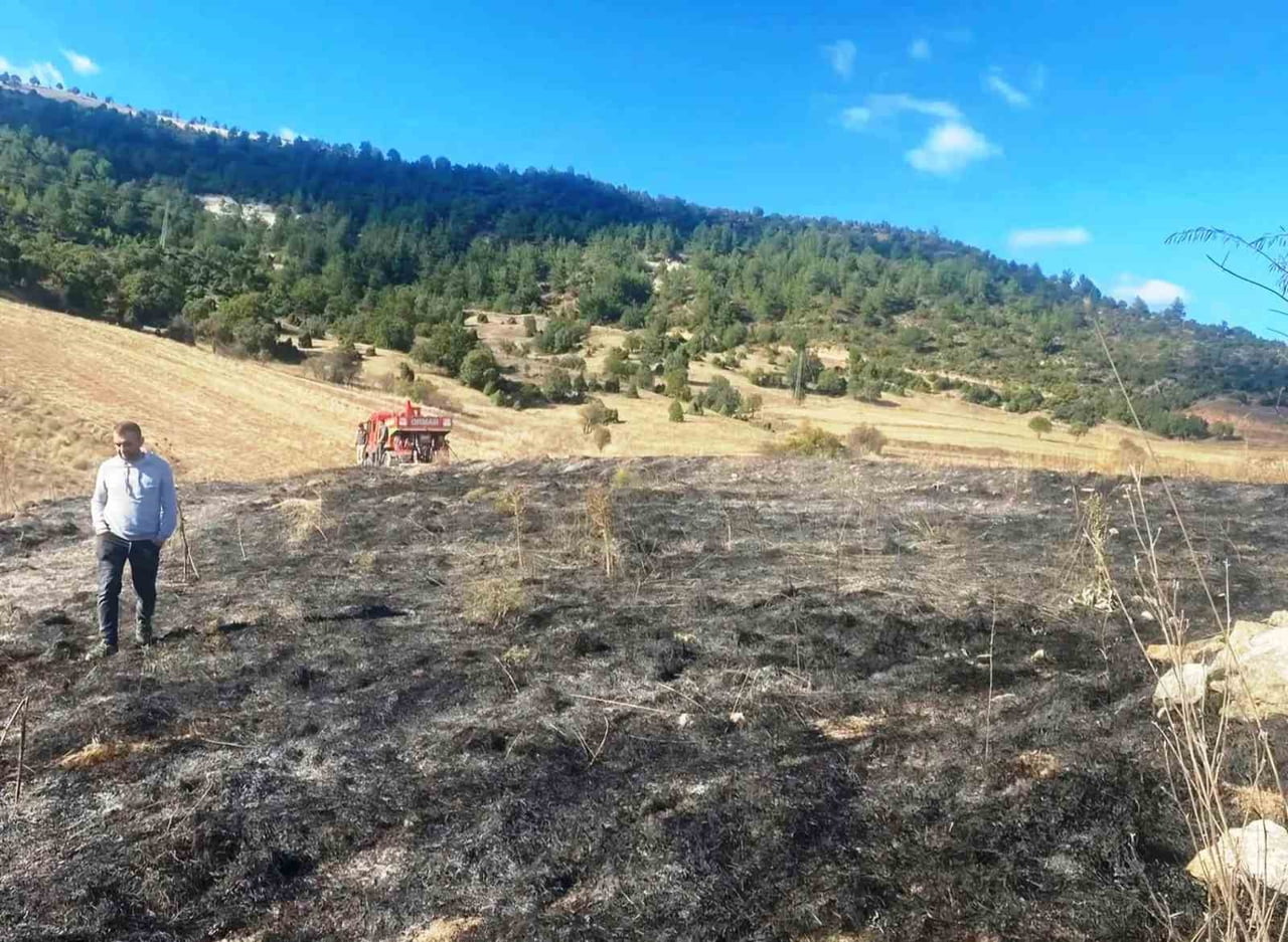 EMET’TE OT YANGINI: 2 DEKAR ALAN ZARAR GÖRDÜ