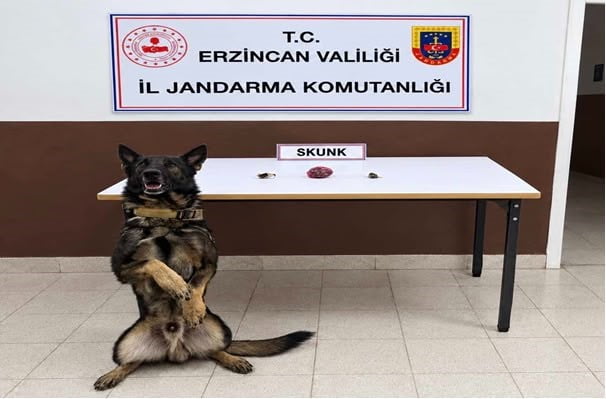 ERZİNCAN'DA JANDARMA EKİPLERİNCE DÜZENLENEN İKİ AYRI UYUŞTURUCU OPERASYONUNDA 13 GRAM SKUNK İLE 4...