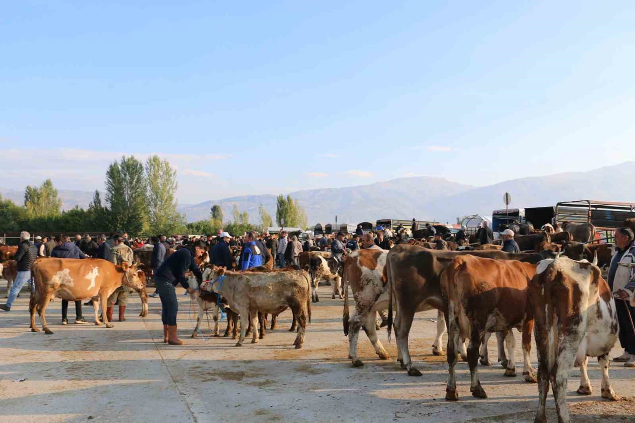 ERZİNCAN’DA HAYVAN YETİŞTİRİCİLERİNE ŞAP HASTALIĞINA KARŞI AŞILAMA UYARISI