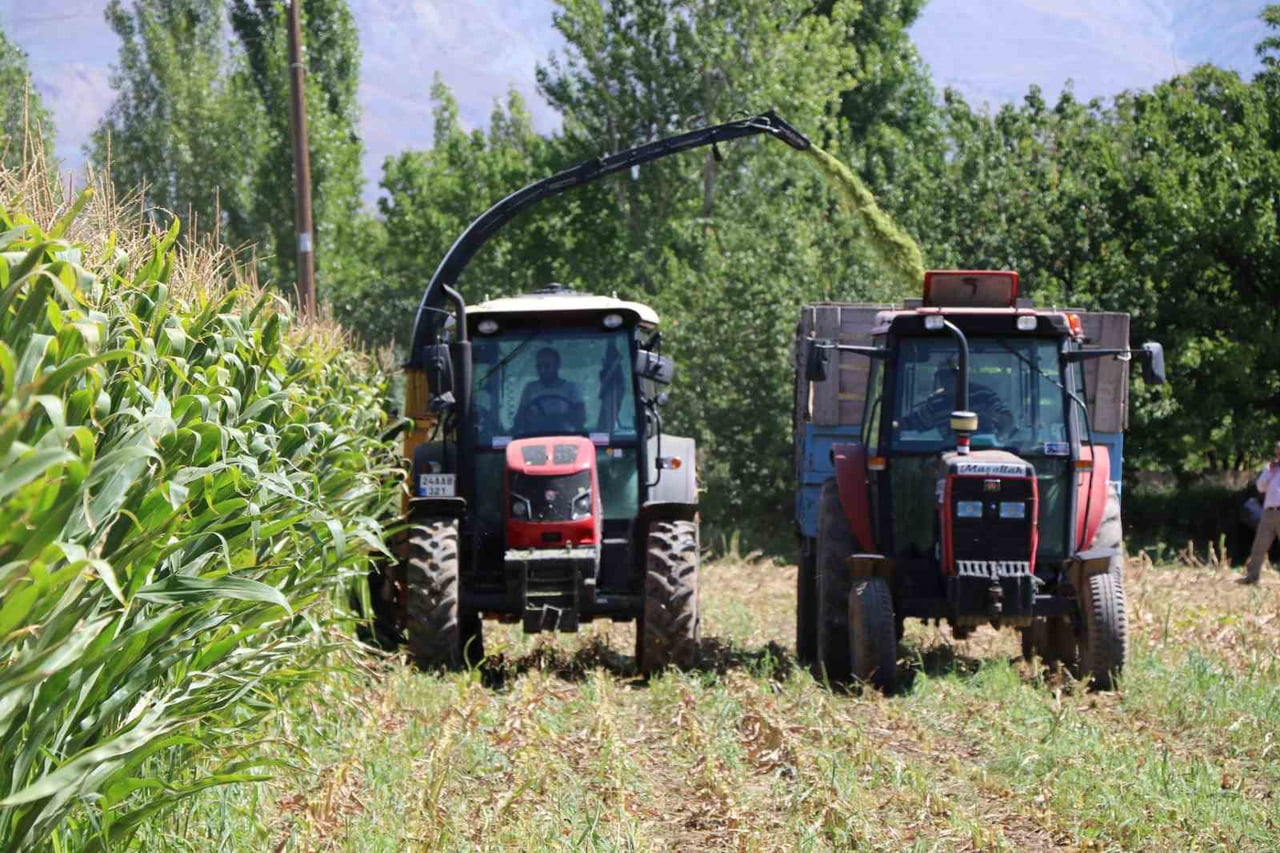 ERZİNCAN OVASI’NDA SİLAJLIK MISIR HASADI SÜRÜYOR
