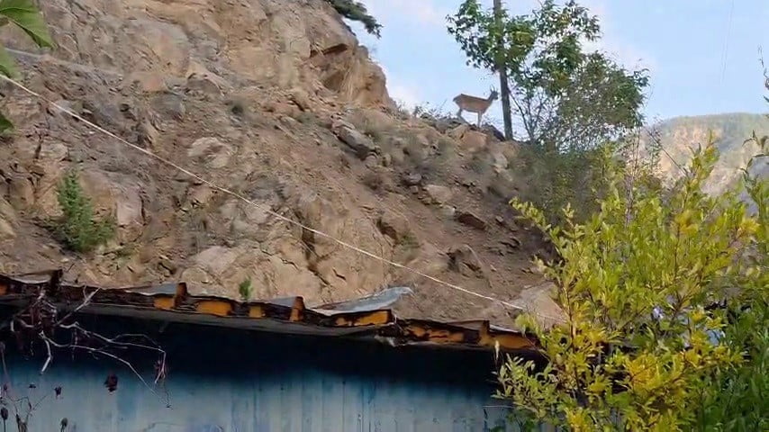 ERZURUM’UN İSPİR İLÇESİNDE YAŞAYAN MELEK ERDOĞAN, SARP KAYALIKLARIN ÜRKEK CANLILARI OLAN DAĞ...