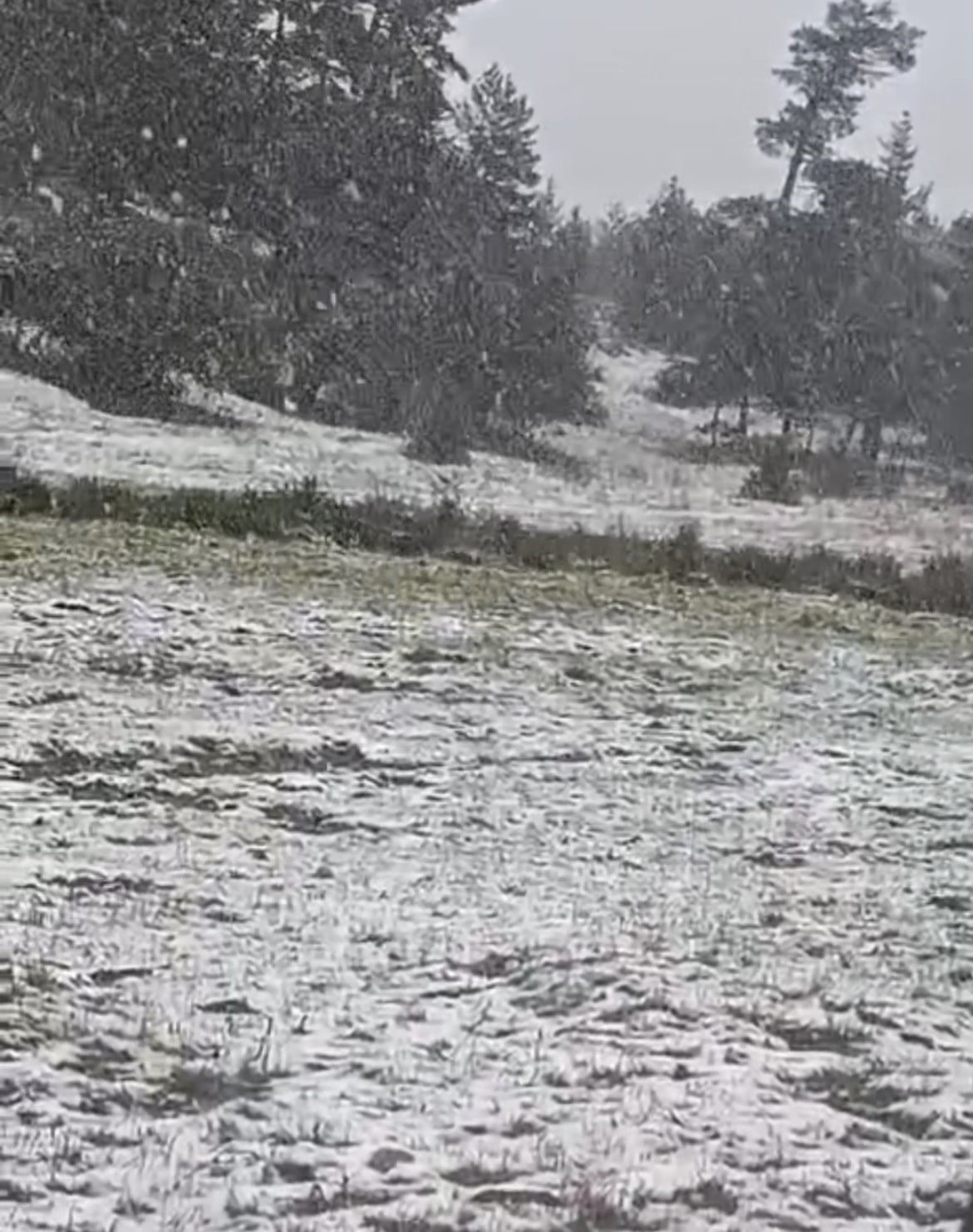 ESKİŞEHİR’İN ALPU İLÇESİNDE KAR YAĞIŞI ETKİLİ OLDU. BEYAZ ÖRTÜYLE KAPLANAN DAĞLIK ALANLAR...