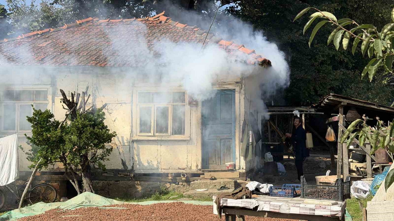 EVLERİN DUVARLARINI VE AĞAÇLARI SARAN, TARIMA DA CİDDİ ZARAR VEREN BÖCEKLERE KARŞI VATANDAŞLAR...
