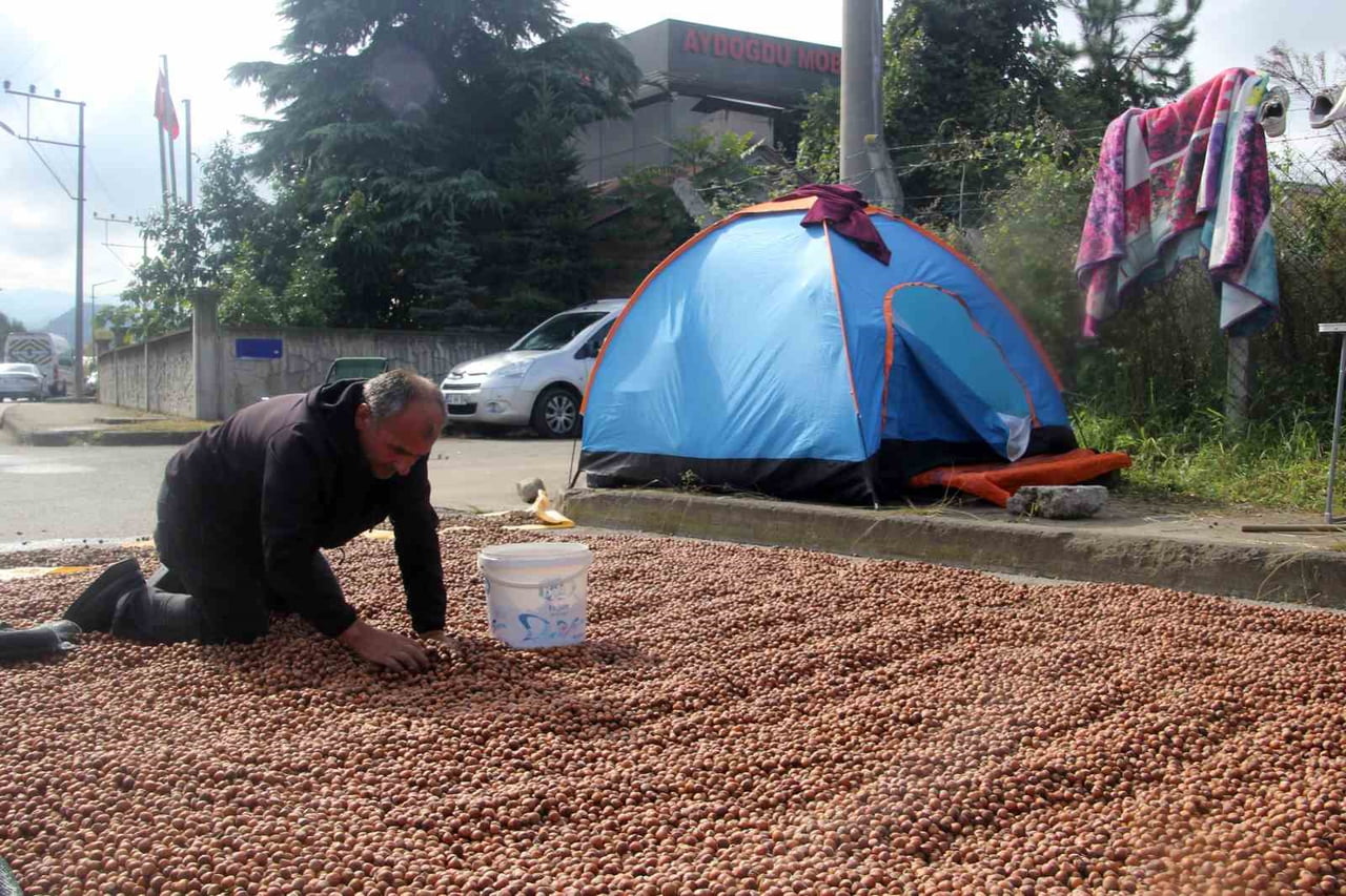 FINDIĞIN SEÇİLME AŞAMASI