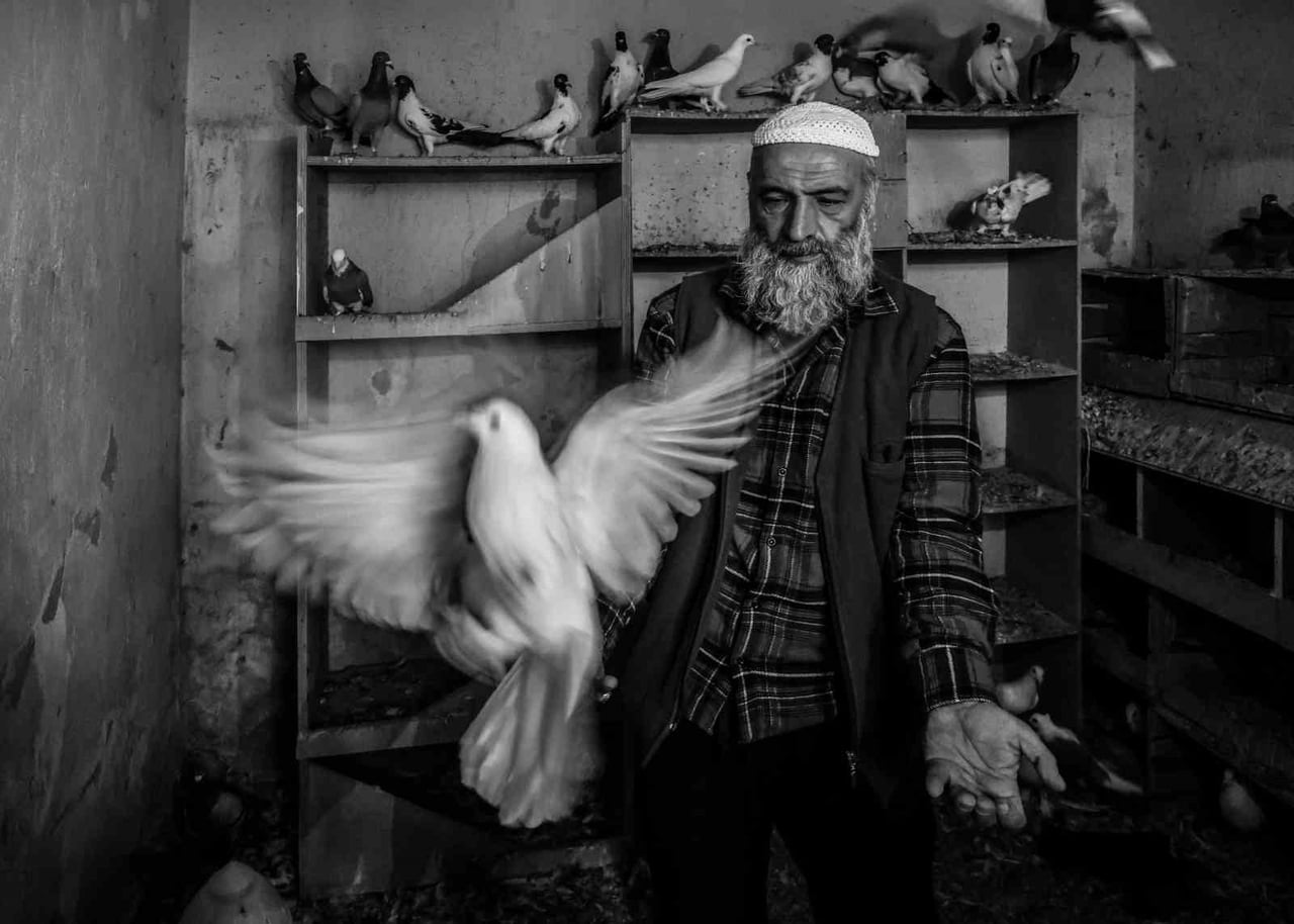 FOTON DERNEĞİ TARAFINDAN USTA FOTOĞRAF SANATÇISI ARA GÜLER’İN VEFATININ 8. YILI ANISINA DÜZENLENEN...