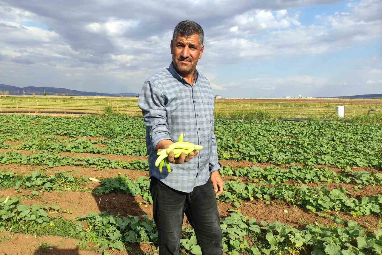 GAZİANTEP’İN ARABAN İLÇESİNDE, KIŞLIK TURŞU HAZIRLIKLARININ VAZGEÇİLMEZ ÜRÜNLERİNDEN TURŞULUK...
