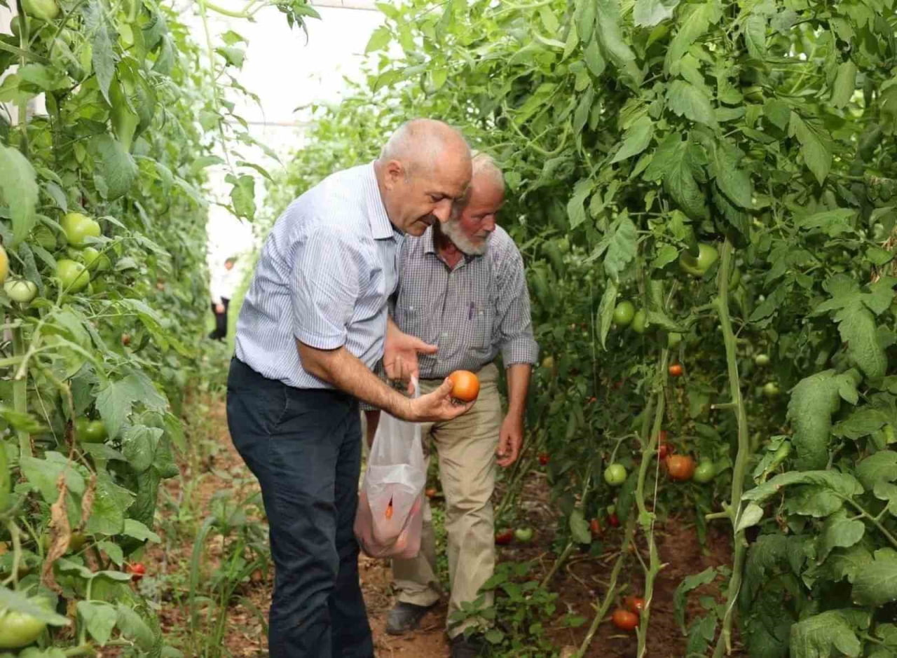 GEBZE BELEDİYESİ, KIRSAL MAHALLELERDE TARIMSAL ÜRETİMİN SÜRDÜRÜLEBİLİRLİĞİNİ SAĞLAMAK VE...