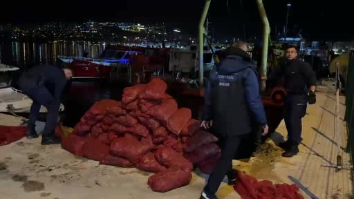 Gemlik’te kaçak midye avına geçit yok: 174 bin TL ceza