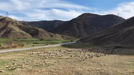 Göçerlerin Van’dan Siirt’e zorlu dönüş yolculuğu başladı