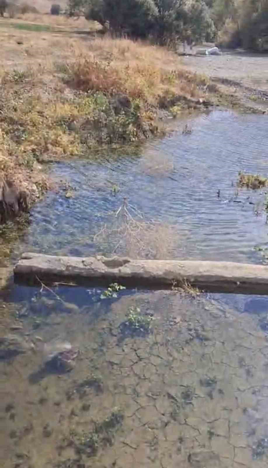 HAKKARİ'NİN YÜKSEKOVA İLÇESİNDE KURAKLIK NEDENİYLE SU SEVİYESİ KRİTİK NOKTALARA DÜŞEN NEHİL...