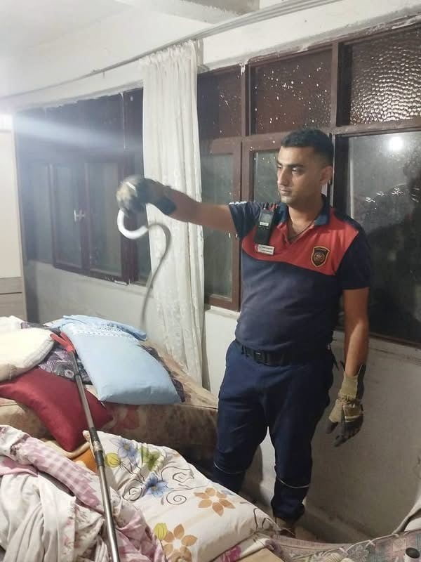 HATAY BÜYÜKŞEHİR BELEDİYESİ EKİPLERİ, DÖRTYOL VE BELEN İLÇELERİNDE YERLEŞİM YERLERİNDE GÖRÜLEN...