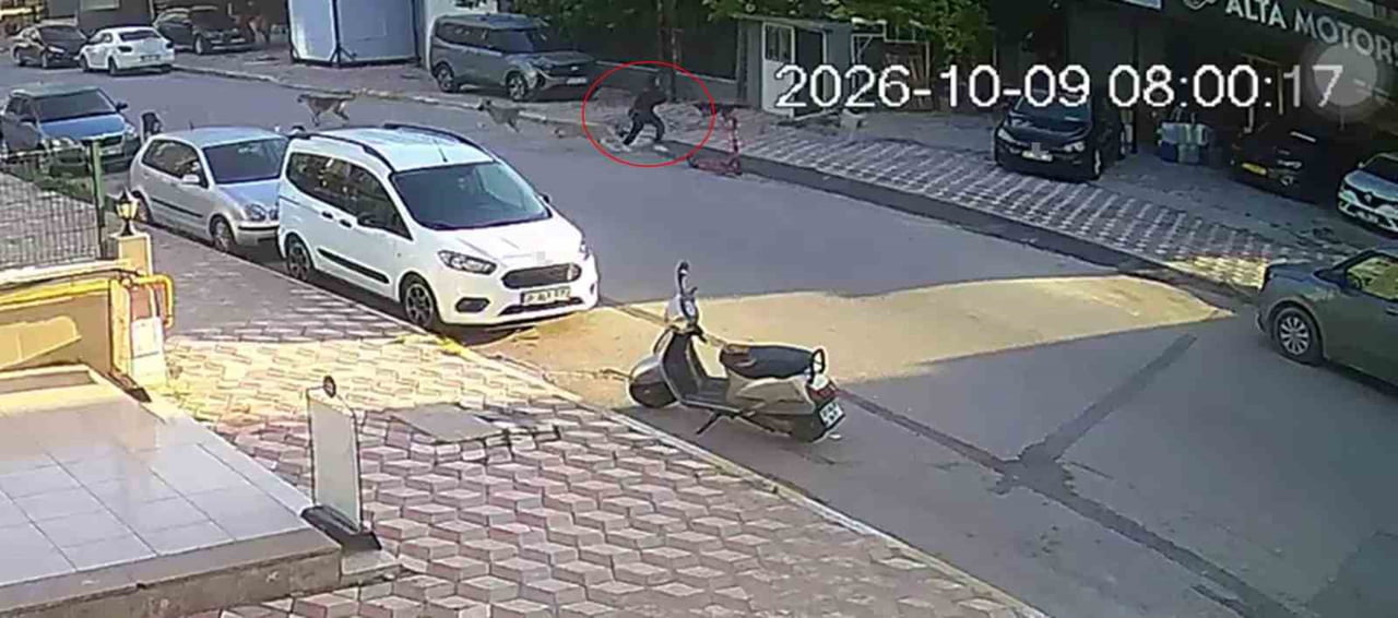 HATAY’DA OKULA GİTTİĞİ ESNADA SOKAK KÖPEKLERİNİN SALDIRISINA UĞRAYAN 15 YAŞINDAKİ KIZ ÖĞRENCİNİN...