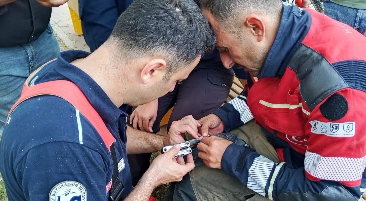 İSKENDERUN’DA BALIK MİSİNASINA DOLANARAK AĞAÇTA MAHSUR KALAN GÜVERCİN İTFAİYE EKİPLERİNCE...