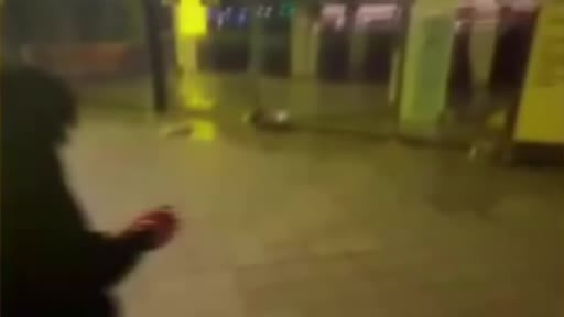İstanbul'da çeşitli suçlara karışan şüphelilerin yakalanmasına yönelik operasyon: 15...