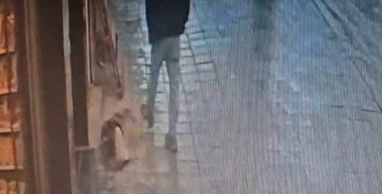 İSTANBUL AVCILAR’DA BİR DÜKKAN ÖNÜNDE KALDIRIMDA UYUYAN KÖPEK, KENDİSİNE TEKME ATAN ADAMI ISIRDI....