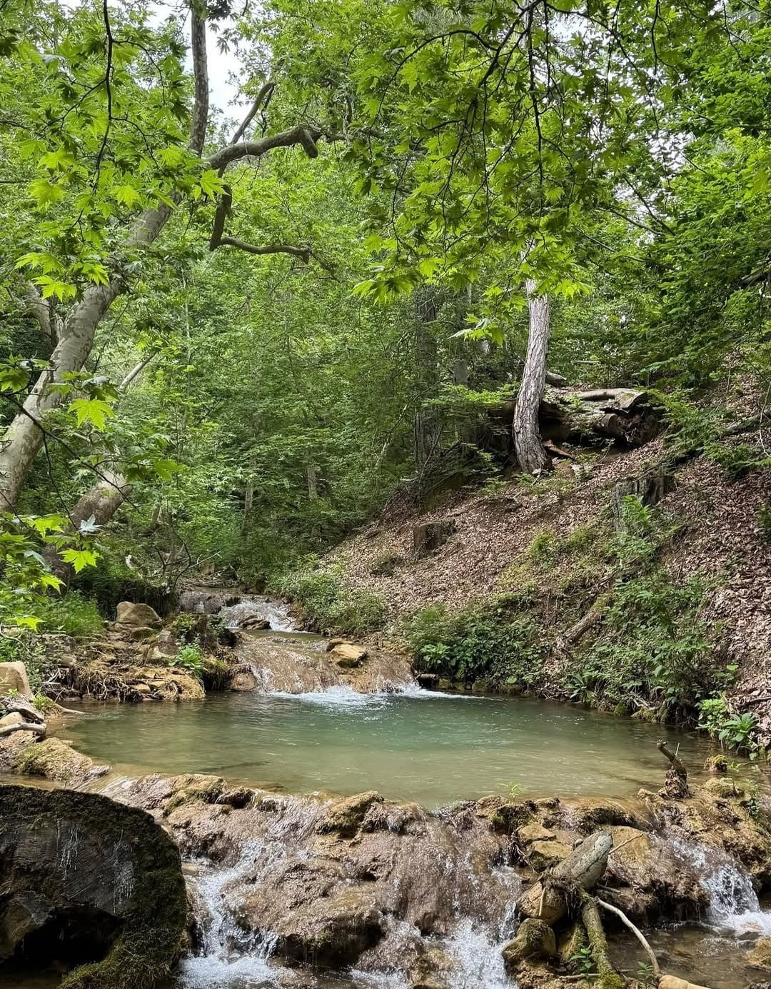 KAHRAMANMARAŞ’IN ANDIRIN İLÇESİNDE BULUNAN FINDIKLI DERE VE HASTANE PINARI, DOĞAL GÜZELLİKLERİYLE...