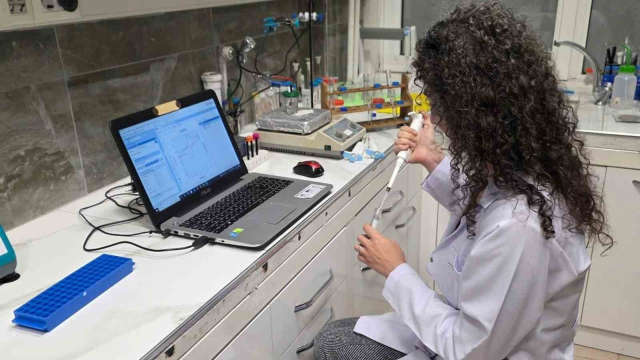 KARABÜK ÜNİVERSİTESİ (KBÜ) AKADEMİSYENİ DOÇ. DR. İREM OKMAN KOÇOĞLU, TARIMSAL ATIK ÇELTİK...