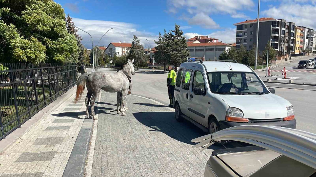 KARAMAN'DA BAĞLI BULUNDUĞU YERDEN KAÇARAK YOLA ÇIKAN AT, SEYİR HALİNDEKİ OTOMOBİLE ARKADAN...